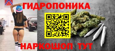 гидра Гусев