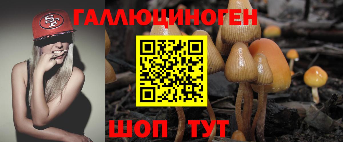 Тимашёвск  купить   Вход с VPN  Галлюциногенные грибы MAGIC MUSHROOMS 